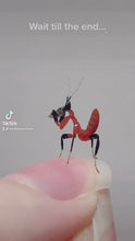 Load and play video in Gallery viewer, Orchid Mantis (Hymenopus coronatus)
