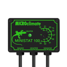 Load image into Gallery viewer, Mantis Marvels