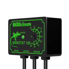 Load image into Gallery viewer, Mantis Marvels