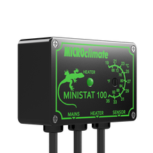 Load image into Gallery viewer, Mantis Marvels