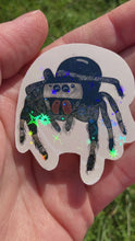 Load and play video in Gallery viewer, White Bahamas jumping spider sticker
