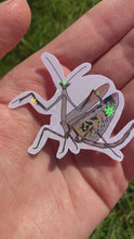 Load and play video in Gallery viewer, Cat Eye praying mantis sticker
