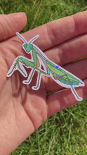 Load and play video in Gallery viewer, Giant Asian praying mantis sticker
