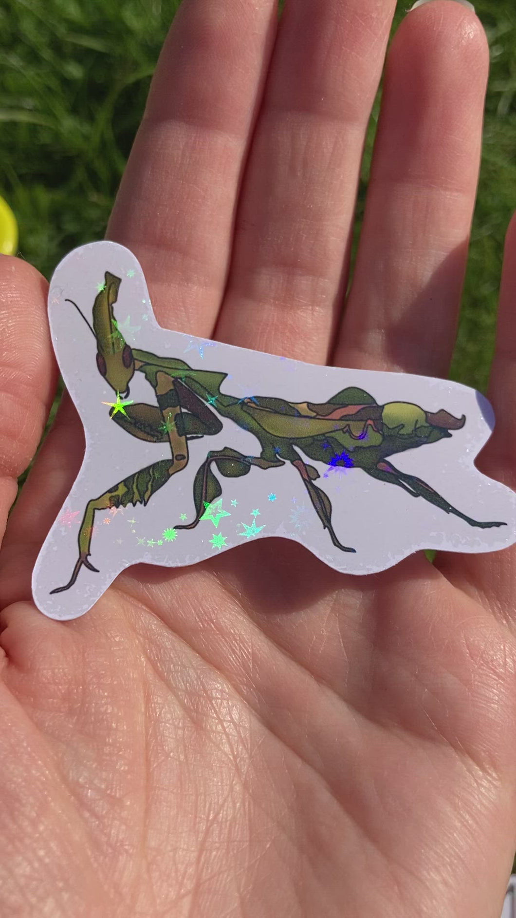 Green Ghost Praying Mantis Sticker