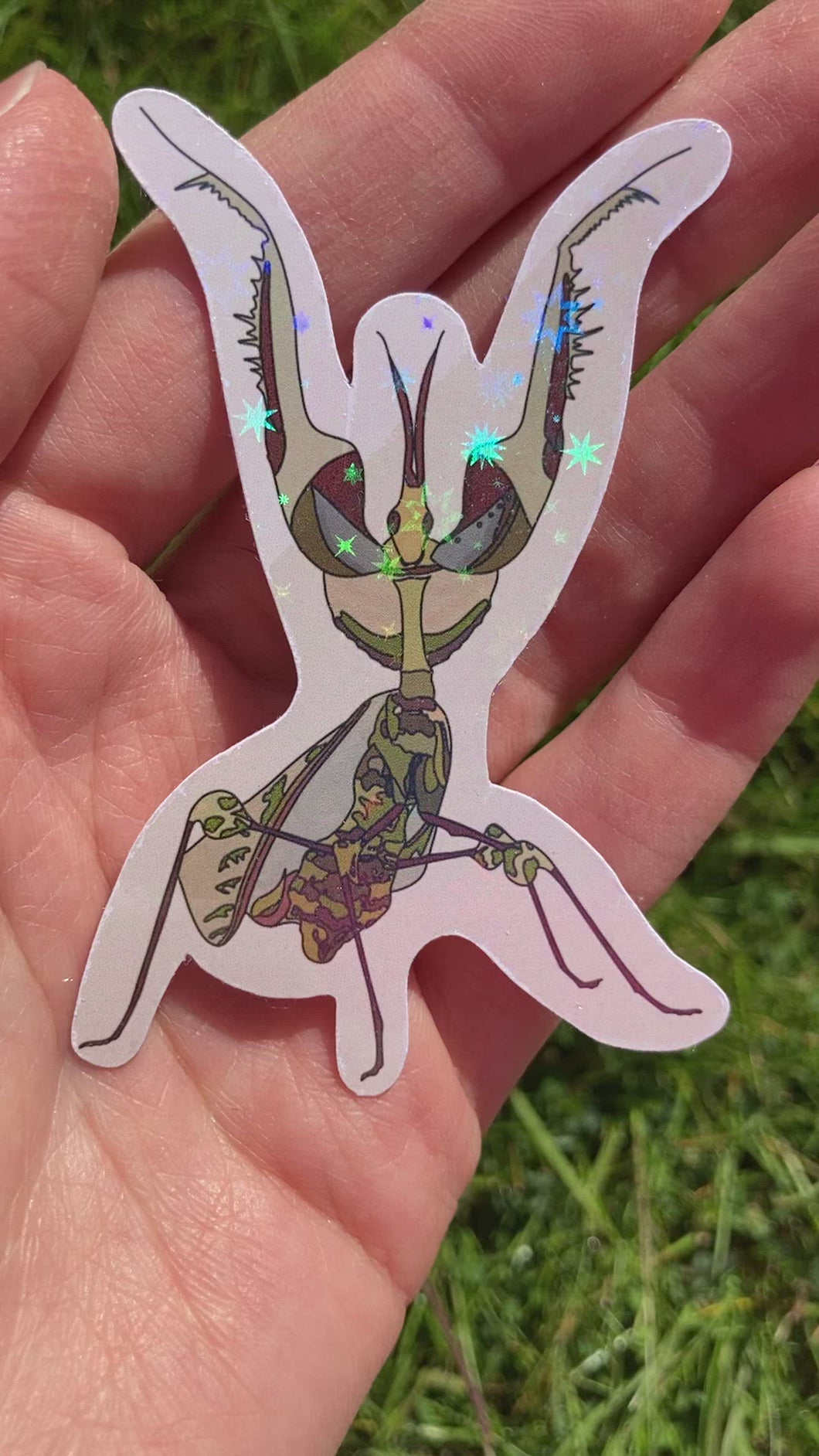 Devils Flower Praying Mantis Sticker