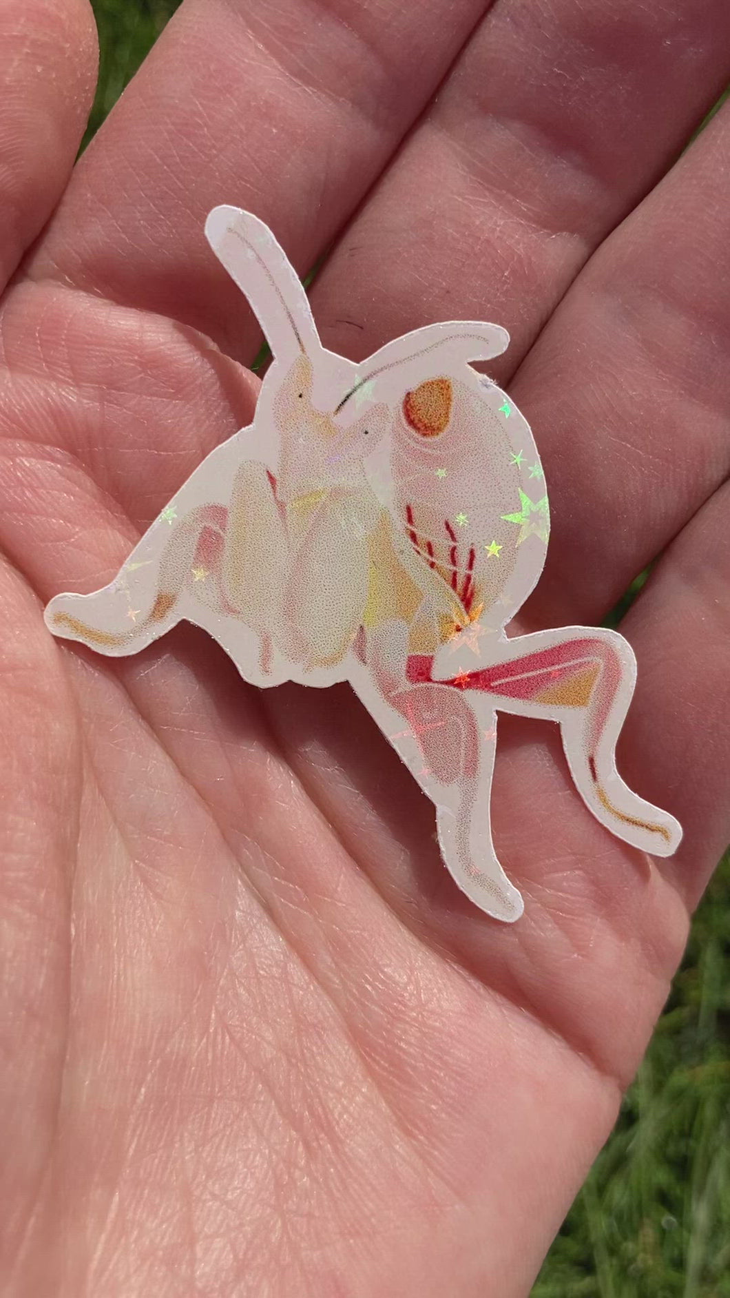 Orchid praying mantis sticker (light)