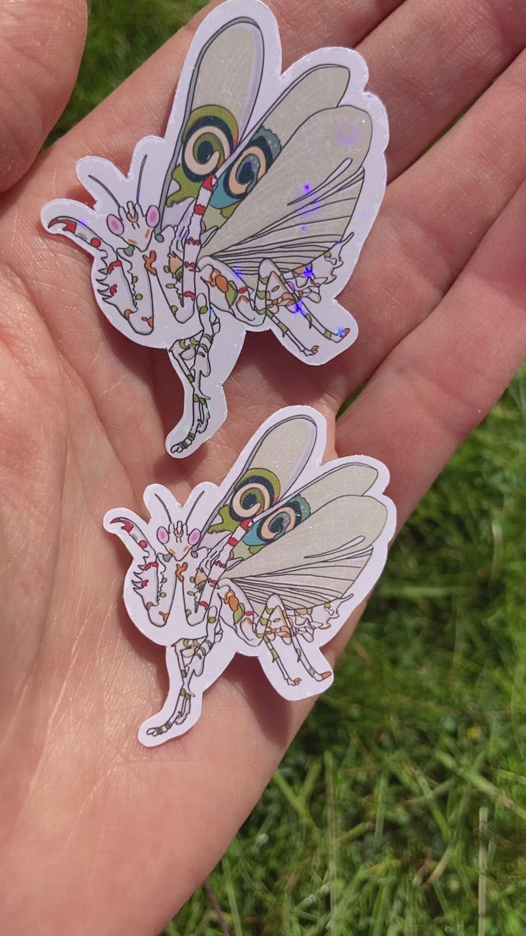 Spiny Flower praying mantis sticker (Small)