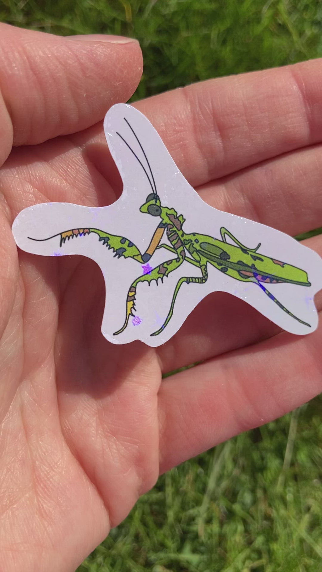 Mossy Praying Mantis sticker