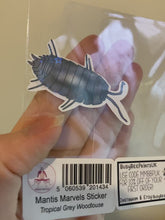 Load and play video in Gallery viewer, Sticker - Tropical Grey Woodlouse
