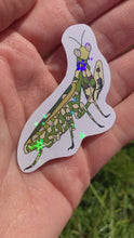 Load and play video in Gallery viewer, Sticker - Banded Flower Mantis
