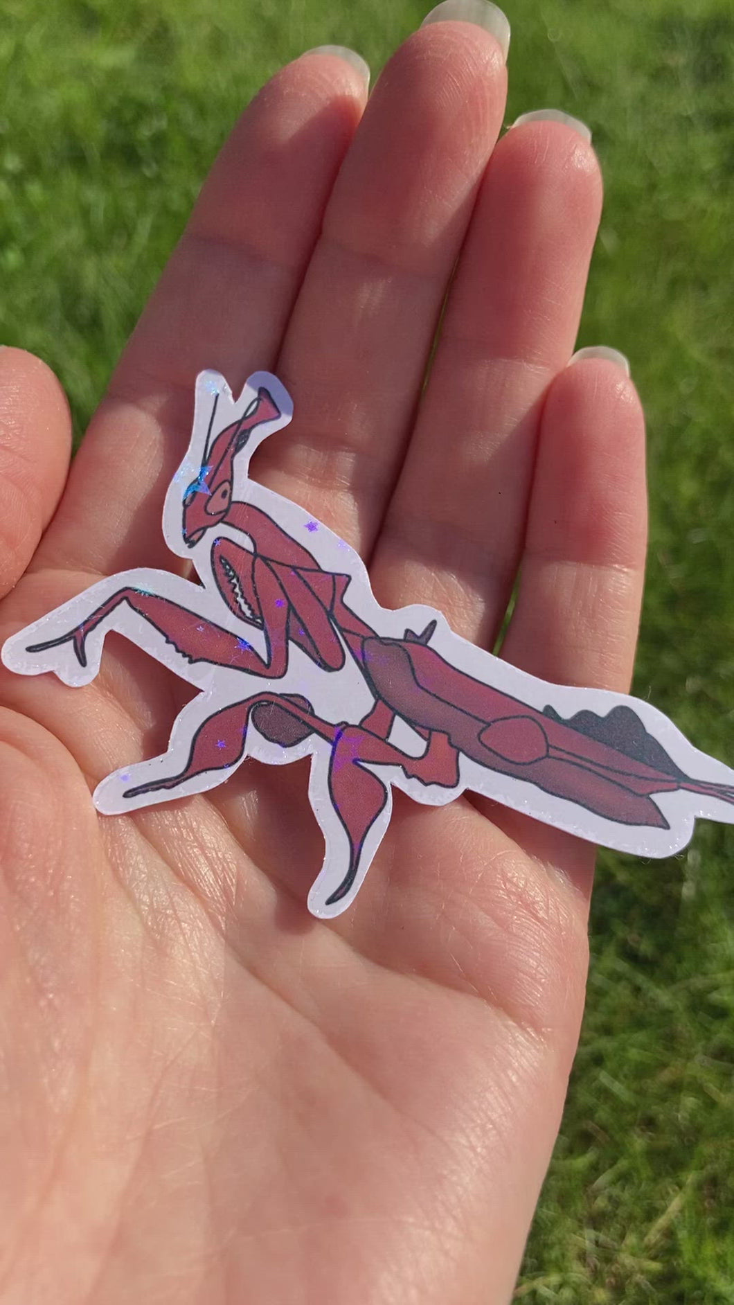 Ghost Praying mantis sticker- coming back soon