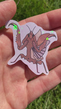 Load and play video in Gallery viewer, Vietnamese Ghost Praying Mantis Sticker
