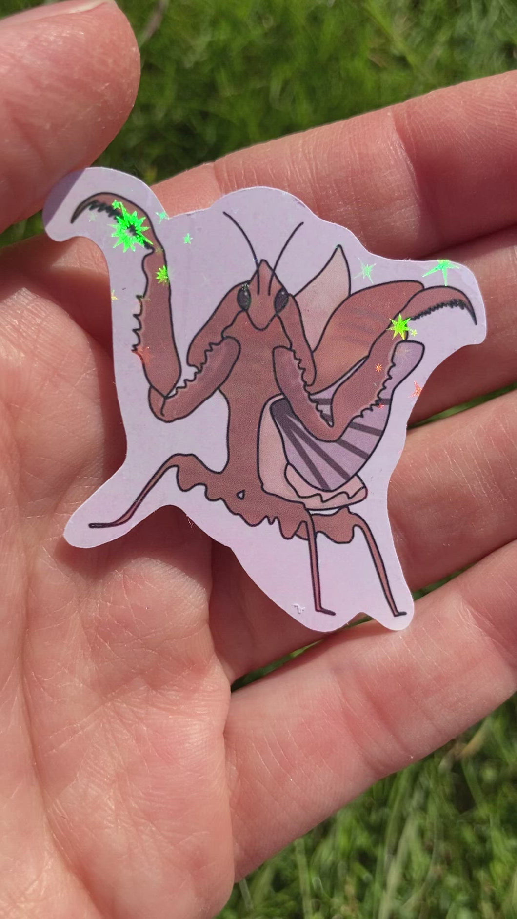 Vietnamese Ghost Praying Mantis Sticker